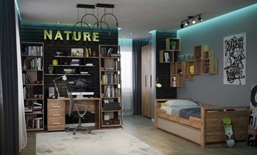 Комната для мальчика Nature в Артеме