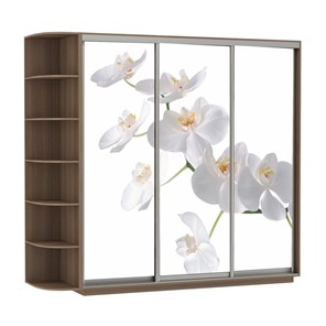 Шкаф 3-дверный Экспресс со стеллажом, 2100х600х2200, Орхидея белая/шимо темный во Владивостоке - предосмотр