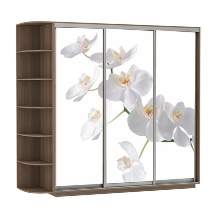 Шкаф 3-дверный Экспресс со стеллажом, 2100х600х2200, Орхидея белая/шимо темный во Владивостоке - изображение