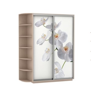 Шкаф 2-створчатый Экспресс 1900x600x2200, со стеллажом, Орхидея белая/дуб молочный в Артеме