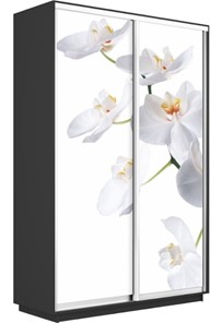 Шкаф-купе двухдверный Экспресс 1200x450x2200, Орхидея белая/серый диамант в Уссурийске