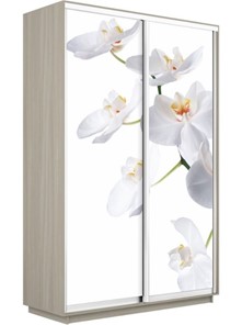 Шкаф 2-х дверный Экспресс 1200x600x2400, Орхидея белая/шимо светлый во Владивостоке