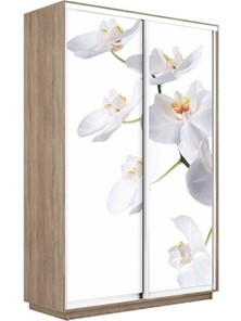 Шкаф двухдверный Экспресс 1600x600x2200, Орхидея белая/дуб сонома во Владивостоке