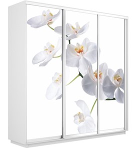 Шкаф 3-х дверный Экспресс 2100х450х2400, Орхидея белая/белый снег во Владивостоке