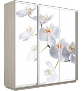 Шкаф 3-створчатый Экспресс 2400х600х2400, Орхидея белая/шимо светлый в Находке