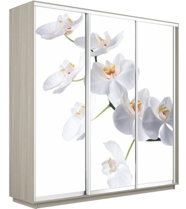 Шкаф 3-створчатый Экспресс 2400х600х2400, Орхидея белая/шимо светлый во Владивостоке - изображение