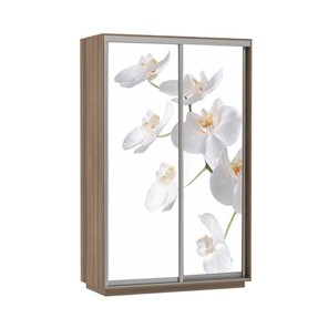 Шкаф двухдверный Экспресс 1200x600x2400, Орхидея белая/шимо темный во Владивостоке