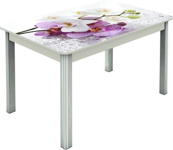 Кухонный раскладной стол Гамбург исп.1 ноги метал. крашеные №23, Фотопечать (Цветы №44) в Артеме