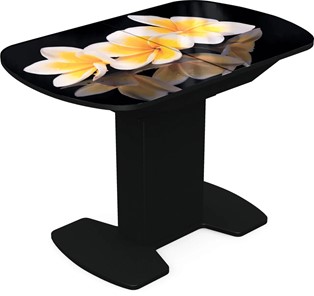 Кухонный раздвижной стол Корсика исп. 1 Фотопечать (Цветы №11) 1100(1415)*700 в Артеме