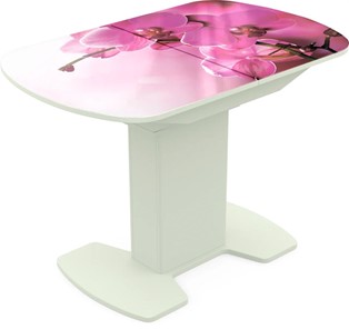 Кухонный раскладной стол Корсика исп. 1 Фотопечать (Цветы №16) 1100(1415)*700 в Артеме