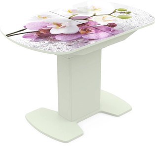 Кухонный раскладной стол Корсика исп. 1 Фотопечать (Цветы №44) 1100(1415)*700 в Артеме