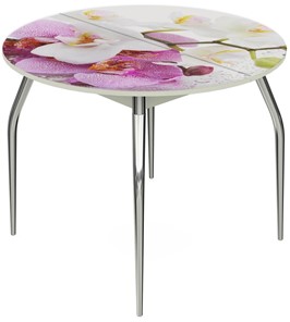 Кухонный стол раскладной Ривьера - Круг, ноги метал. крашеные №24, ФП (Цветы №44) в Артеме