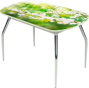 Раздвижной стол Ривьера исп.1 ноги метал. крашеные №24 Фотопечать (Цветы №45) в Артеме