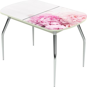 Кухонный раскладной стол Ривьера исп.1 ноги метал. крашеные №24 Фотопечать (Цветы №49) в Артеме