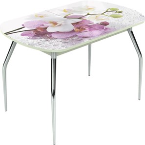 Кухонный стол раздвижной Ривьера мини, ноги хром №5 Фотопечать (Цветы №44) в Артеме