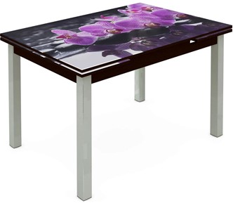 Кухонный стол раскладной Шанхай исп. 1, ноги метал. крашеные №21 Фотопечать (Цветы №30) в Артеме