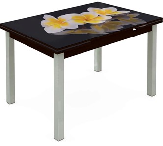 Кухонный стол раскладной Шанхай исп. 2, ноги метал. крашеные №21 Фотопечать (Цветы №11) в Артеме