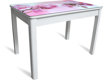 Кухонный стол раздвижной Айсберг-02 СТФ, белое лдсп/орхидея/40 прямые массив белые во Владивостоке