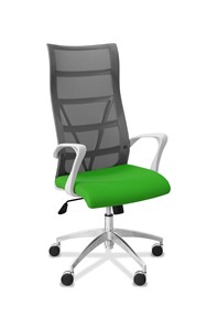 Кресло для руководителя Топ X белый каркас, сетка/ткань TW / серая/салатовая в Находке