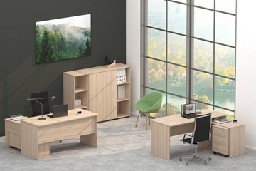 Офисный комплект мебели Twin во Владивостоке - предосмотр 4