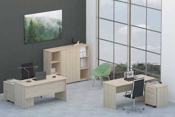 Офисный набор мебели Twin для 2 сотрудников со шкафом для документов во Владивостоке - предосмотр