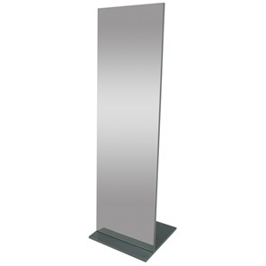 Зеркало напольное Стелла (графит темный) 163,5 см x 50 см в Артеме