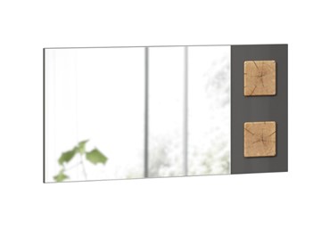 Зеркало настенное Фиджи 659.420, Антрацит глянец в Артеме
