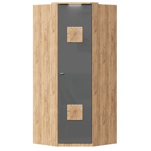 Шкаф угловой 45 с декоративной накладкой Фиджи, 659.245, антрацит в Артеме