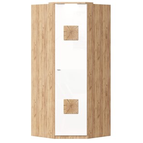 Шкаф угловой 45 с декоративной накладкой Фиджи, 659.248, белый в Находке