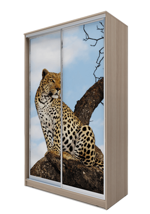 Шкаф 2-х дверный 2400х1200х620, Леопард ХИТ 24-12-77-04 Ясень Шимо Светлый во Владивостоке - изображение