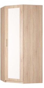 Угловой шкаф распашной Реал (YR-230х1034 (3)-М Вар.1), с зеркалом в Уссурийске - предосмотр