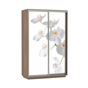 Шкаф 2-створчатый Экспресс 1400x600x2400, Орхидея белая/шимо темный во Владивостоке - предосмотр