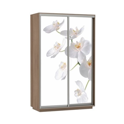 Шкаф 2-створчатый Экспресс 1400x600x2400, Орхидея белая/шимо темный во Владивостоке - изображение