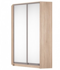 Угловой шкаф Аларти (YA-230х1250(602) (2) Вар. 2; двери D5+D5), с зеркалом во Владивостоке