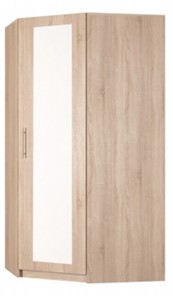 Распашной шкаф угловой Реал (YR-198х1034 (7)-М, Вар.1), с зеркалом во Владивостоке - предосмотр