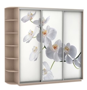 Шкаф 3-дверный Экспресс со стеллажом, 2700х600х2200, Орхидея белая/дуб молочный во Владивостоке - предосмотр