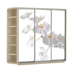 Шкаф Экспресс со стеллажом, 2700х600х2200, Орхидея белая/дуб сонома во Владивостоке - предосмотр