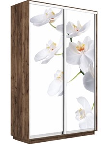 Шкаф 2-х дверный Экспресс 1200x450x2200, Орхидея белая/дуб табачный в Артеме