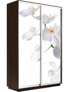 Шкаф Экспресс 1200x450x2400, Орхидея белая/венге в Артеме