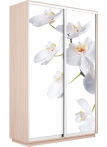 Шкаф 2-дверный Экспресс 1200x600x2200, Орхидея белая/дуб молочный в Уссурийске