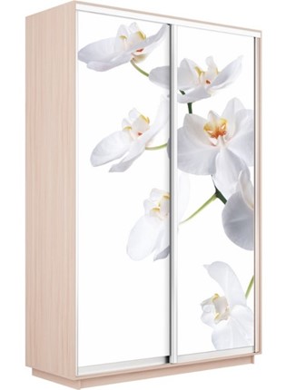 Шкаф 2-х дверный Экспресс 1200x600x2400, Орхидея белая/дуб молочный во Владивостоке - изображение