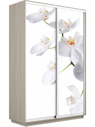Шкаф 2-х дверный Экспресс 1200x600x2400, Орхидея белая/шимо светлый во Владивостоке - изображение