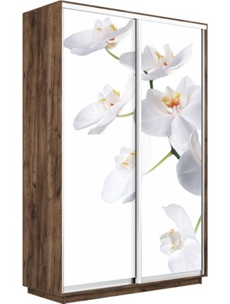 Шкаф 2-створчатый Экспресс 1400x600x2400, Орхидея белая/дуб табачный во Владивостоке - изображение