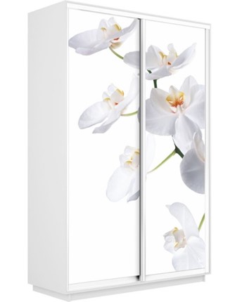 Шкаф-купе Экспресс 1600x600x2200, Орхидея белая/белый снег во Владивостоке - изображение