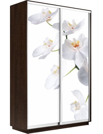 Шкаф-купе двухдверный Экспресс 1600x600x2200, Орхидея белая/венге во Владивостоке - изображение