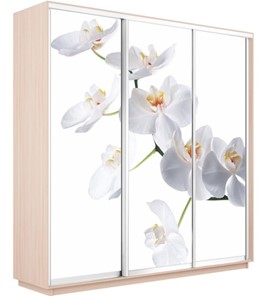 Шкаф 3-дверный Экспресс 1800х600х2400, Орхидея белая/дуб молочный во Владивостоке