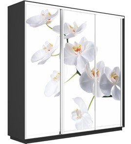 Шкаф 3-х створчатый Экспресс 1800х600х2400, Орхидея белая/серый диамант в Уссурийске