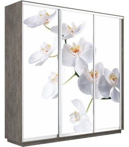 Шкаф 3-х створчатый Экспресс 2100х450х2200, Орхидея белая/бетон во Владивостоке - предосмотр