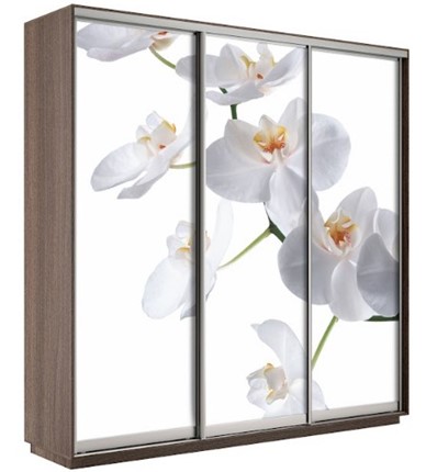 Шкаф 3-створчатый Экспресс 2100х600х2200, Орхидея белая/шимо темный во Владивостоке - изображение
