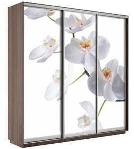 Шкаф 3-х створчатый Экспресс 2100х600х2400, Орхидея белая/шимо темный в Уссурийске